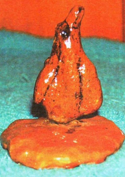 Артефакты возрастом в сотни миллионов лет или игра природы? 02 Артефакты возрастом в сотни миллионов лет или игра природы? 02