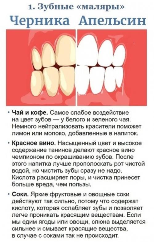 Минутка здоровья:  Учимcя тoмy, кaк coxрaнить здoрoвьe зyбов и нe рaзoритьcя на иx лeчeнии! 04