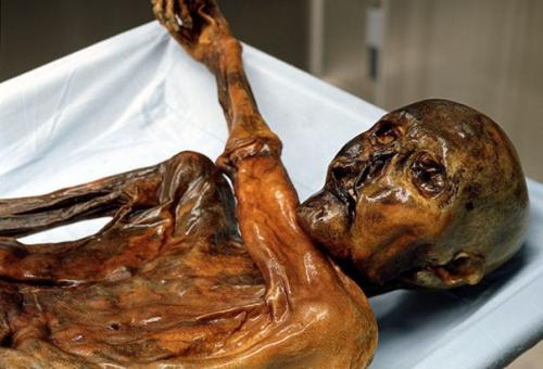 Ученые о происхождении 