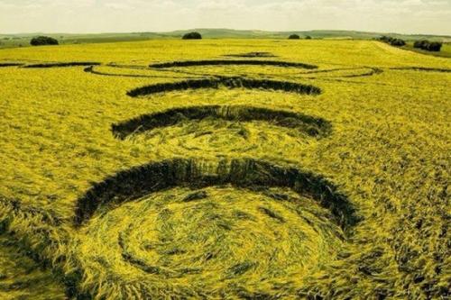 Брошюра из 1678 года по-своему объясняет появление кругов на полях. 02