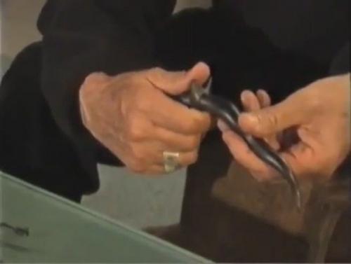 Генетики древней Колумбии. 08