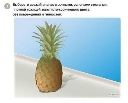 Как вырастить ананас в домашних условиях?