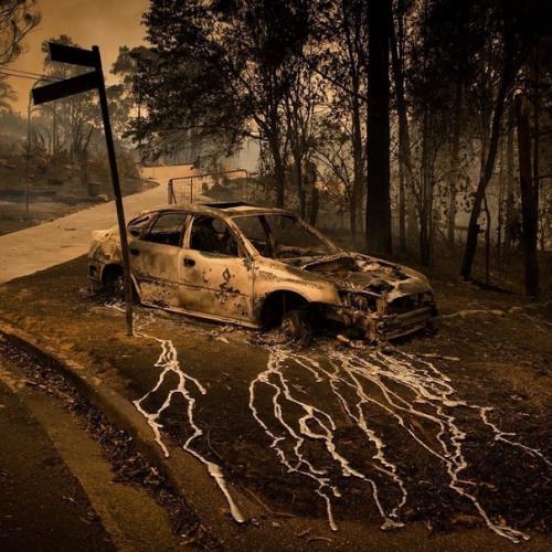 Вот такая жесть сейчас в Австралии творится. 05