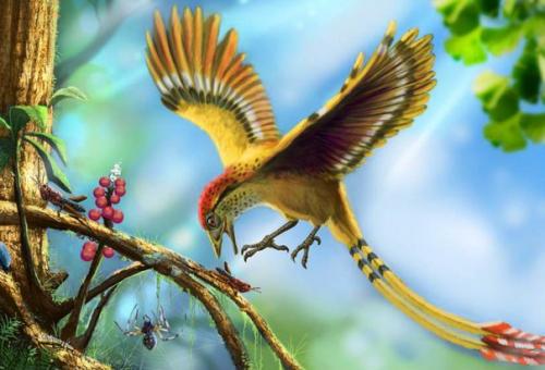 Палеонтологи прародину всех современных птиц нашли.