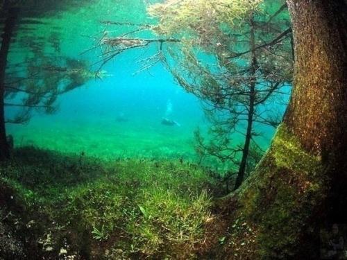 Фотографии из парка в Штирии, который периодически затапливает близлежащее озеро, Австрия. 03