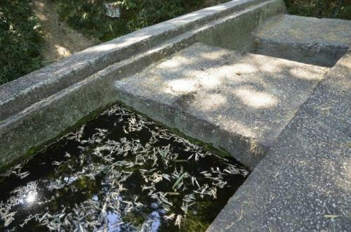 Мегалит масуда ивафун. 03 Мегалит масуда ивафун. 03