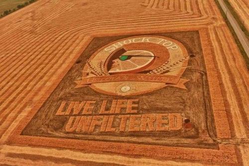 Самые большие картины в мире от художника Стэна херда.