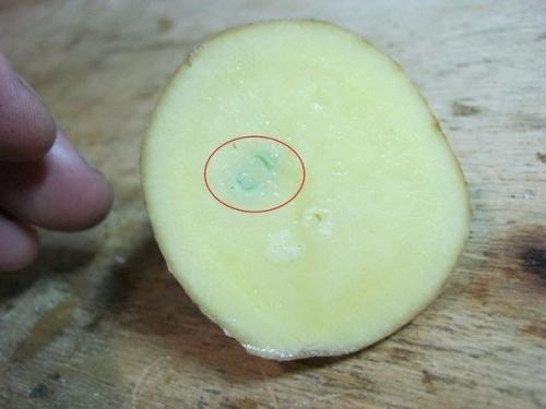 Как определить прямая или обратная полярность аккумулятора. Как определить полярность, не имея приборов.