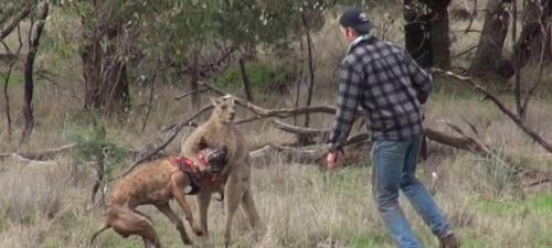 Учёные назвали страны, в которых можно пережить массовую эпидемию. 04