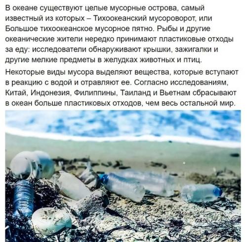 А когда у нас что-то появится необычное? 01