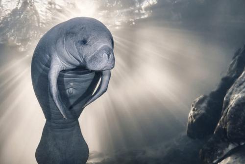 Лучшие океанские фотографии 2023 года. 03