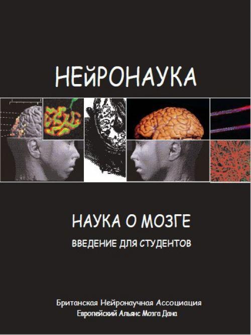 Основы нейробиологии в буклете Нейронаука: Наука о Мозге.