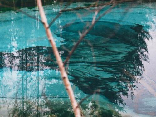 Живое гейзерное озеро на Алтае. 03