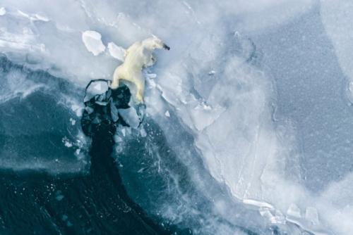 Лучшие океанские фотографии 2023 года. 08