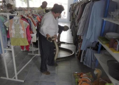 Учёные назвали страны, в которых можно пережить массовую эпидемию. 03