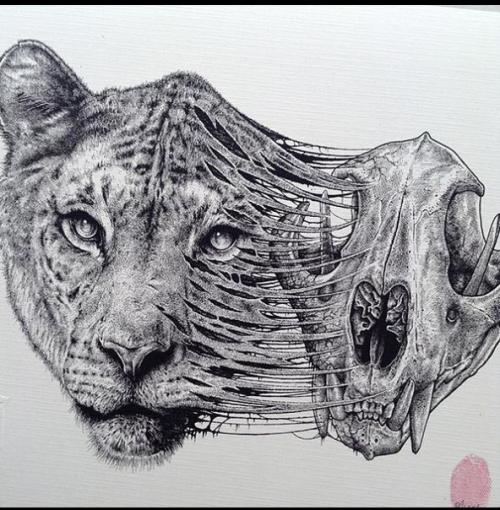 Анатомические ужасы.  От художника Пола джексона. 08