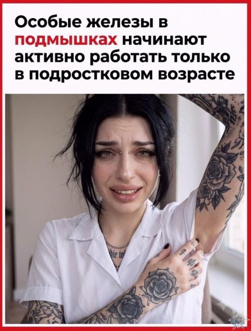 Почему пот не пахнет, а подмышки воняют? 02