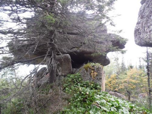 Алтай: мегалиты горы синюха. 07