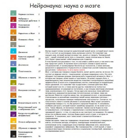 Основы нейробиологии в буклете Нейронаука: Наука о Мозге. 01