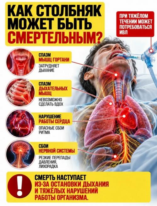 Столбняк многие до сих пор связывают с ржавыми гвоздями, но ржавчина сама по себе здесь вообще ни при чём. 05