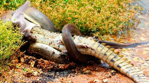 Учёные назвали страны, в которых можно пережить массовую эпидемию. 05