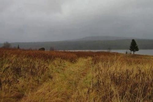 Мутанты, монстры и русалки: легенды о карельском озере куолаярви. 02