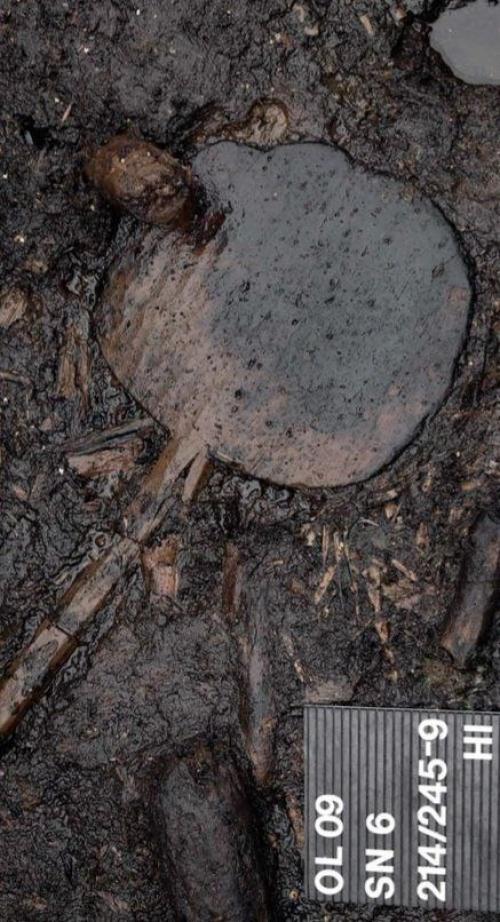 Деревянная Лопатка для переворачивания хлеба, возраст - 4900 лет, южная Германия. 01