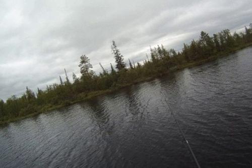 Мутанты, монстры и русалки: легенды о карельском озере куолаярви. 01