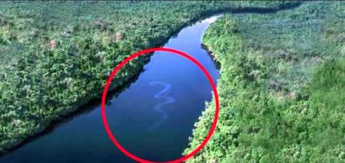 Встречи с огромными змеями. 04