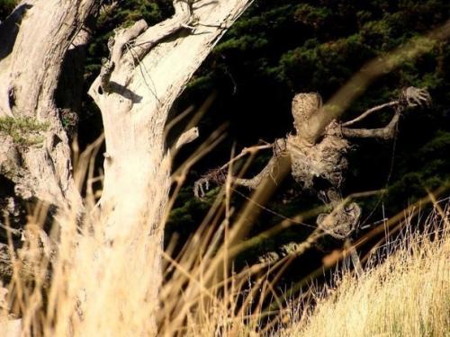 Адское пугало, способное напугать кого угодно. 01