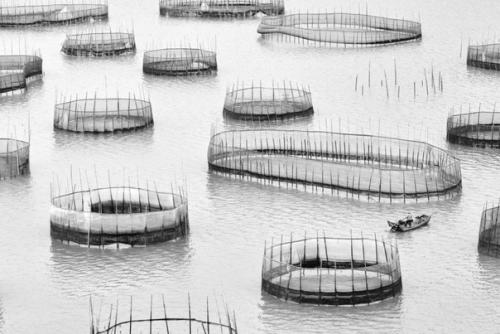 Лучшие океанские фотографии 2023 года. 07