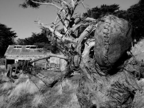 Адское пугало, способное напугать кого угодно. 02