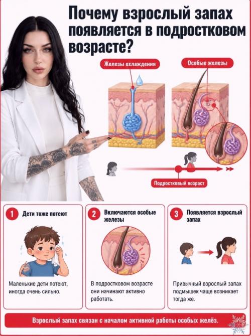 Почему пот не пахнет, а подмышки воняют? 08