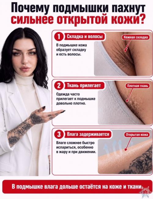 Почему пот не пахнет, а подмышки воняют? 07