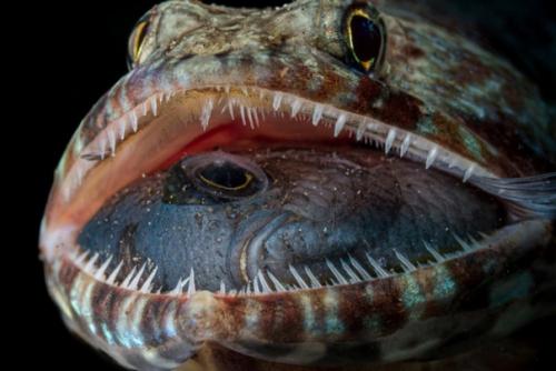 Лучшие океанские фотографии 2023 года. 05