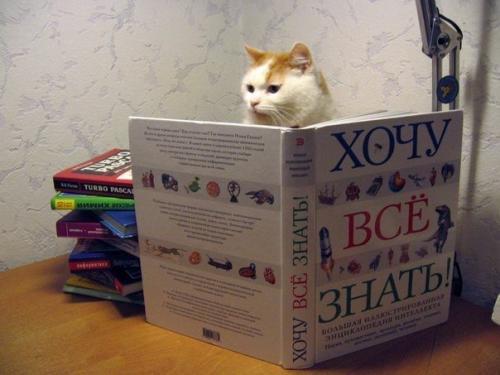 Хотите мыслить шире, читайте! 58. Хотите мыслить шире, читайте! 58.