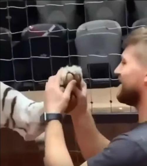 Бенгальский массаж в казанском цирке. 01