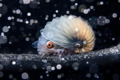 Лучшие океанские фотографии 2023 года. 01