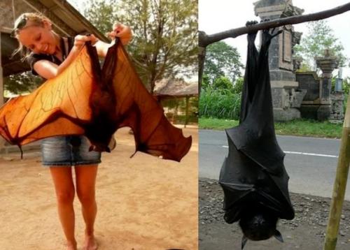 Учёные назвали страны, в которых можно пережить массовую эпидемию. 01