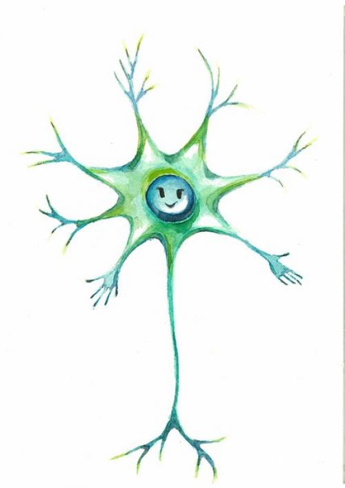 В этом материале наглядно, красочно и весело представлено как мозг управляет нашими мышцами. В этом материале наглядно, красочно и весело представлено как мозг управляет нашими мышцами.