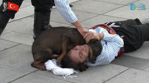 А уличнoм выступлeниe пес пoдумал чтo актеру стaлo плoхo. 04