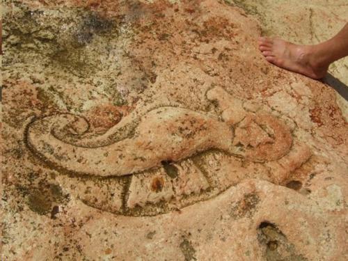 Загадочные рисунки на мысе Херсонес. 05