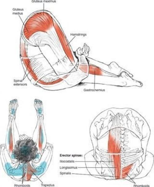 Комплекс упражнений на растяжку. 02 Комплекс упражнений на растяжку. 02
