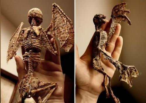 Коллекция таинственных криптидов Томаса мерлина. 01