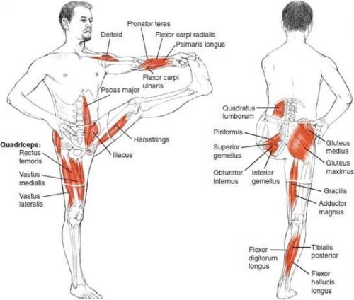 Комплекс упражнений на растяжку. 05 Комплекс упражнений на растяжку. 05