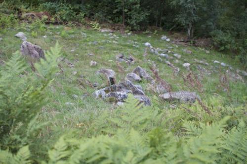 Лабиринты куркиёки.  Ezomir. 01 Лабиринты куркиёки.  Ezomir. 01