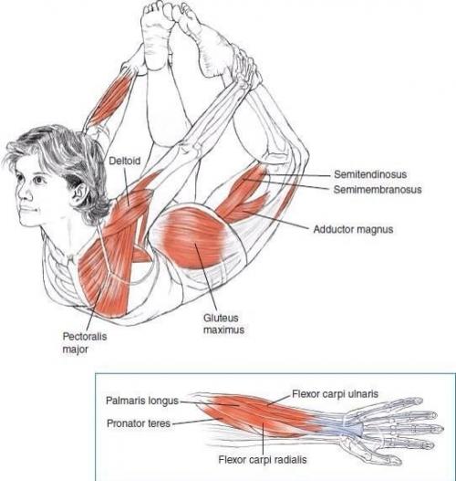 Комплекс упражнений на растяжку. 03 Комплекс упражнений на растяжку. 03
