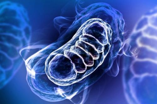 Эволюция идет гораздо быстрее, чем считали ученые. Эволюция идет гораздо быстрее, чем считали ученые.