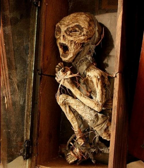 Коллекция таинственных криптидов Томаса мерлина. 04