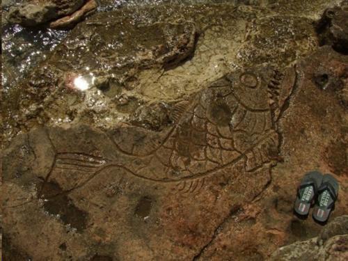 Загадочные рисунки на мысе Херсонес. 06